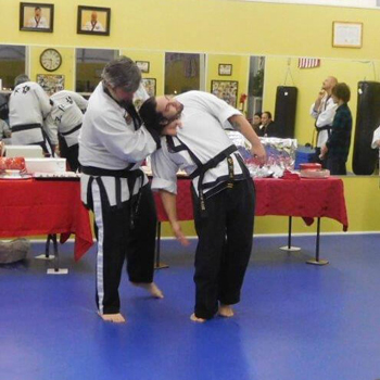 Tiger Martial Arts LLC